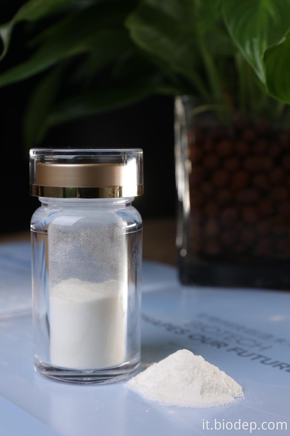 Akkermansia Muciniphila Akkermansia Muciniphila